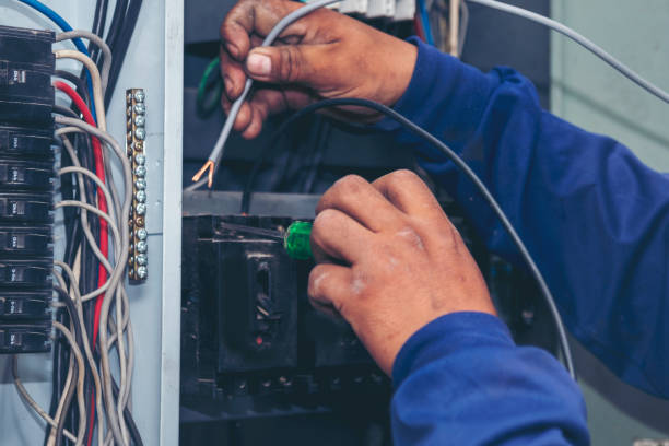 Best Residential Electrician Services  in Windsor, CO
