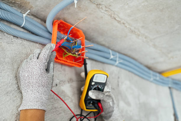 Best Electrical Upgrades for Homes  in Windsor, CO